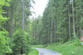 /album/galleria-fotografica/a2013-germania-dsc-0134-jpg/
